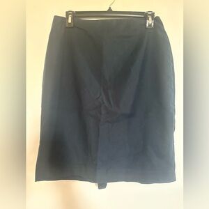 Ann Taylor Blue skirt for work